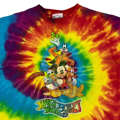 Vintage Y2K Walt Disney World tie dye tee (L)