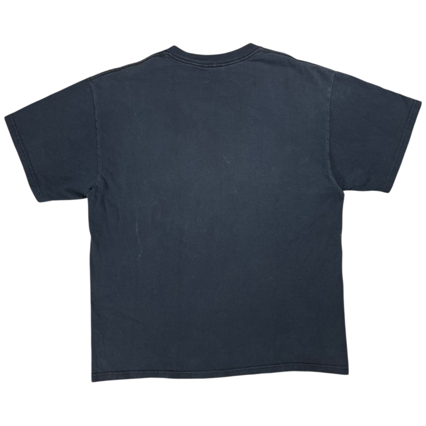 Vintage 2007 Pearl Jam Vs. album faded band tee (L)