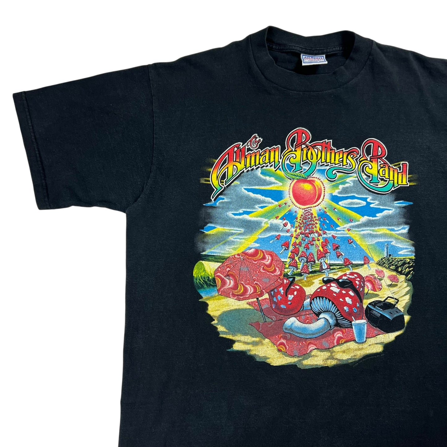Vintage 1998 Allman Brothers Band Summer tour band tee (XL)