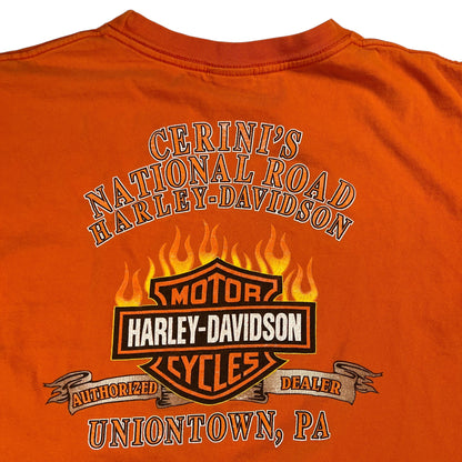 Vintage Y2K Harley Davidson Motorcycles faded tee (L)
