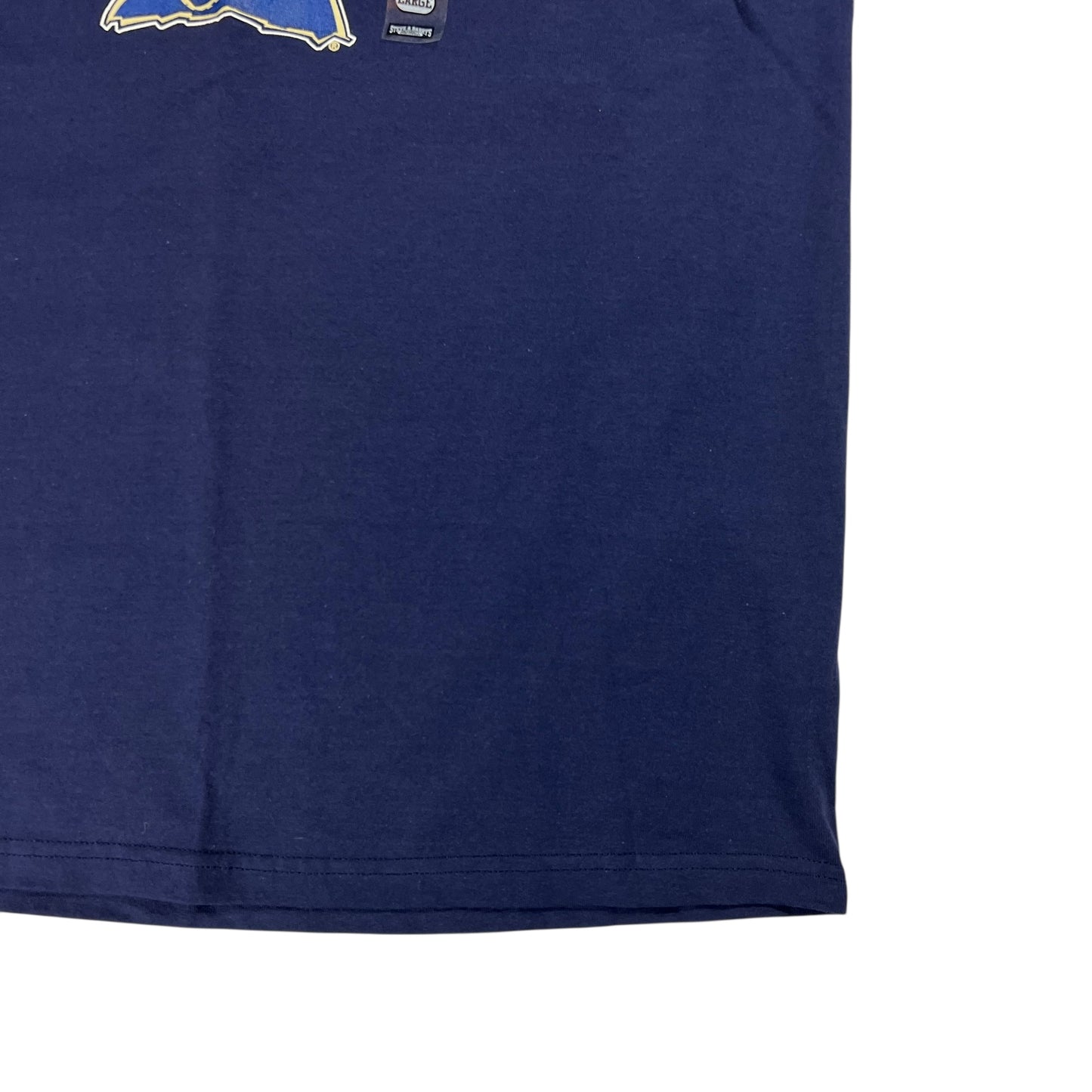 Vintage Y2K University of Pittsburgh Pitt Panthers tee (L) DS NWT