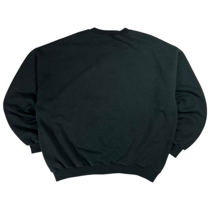 Vintage 2002 Pittsburgh Steelers AFC champs skyline crewneck (XL)