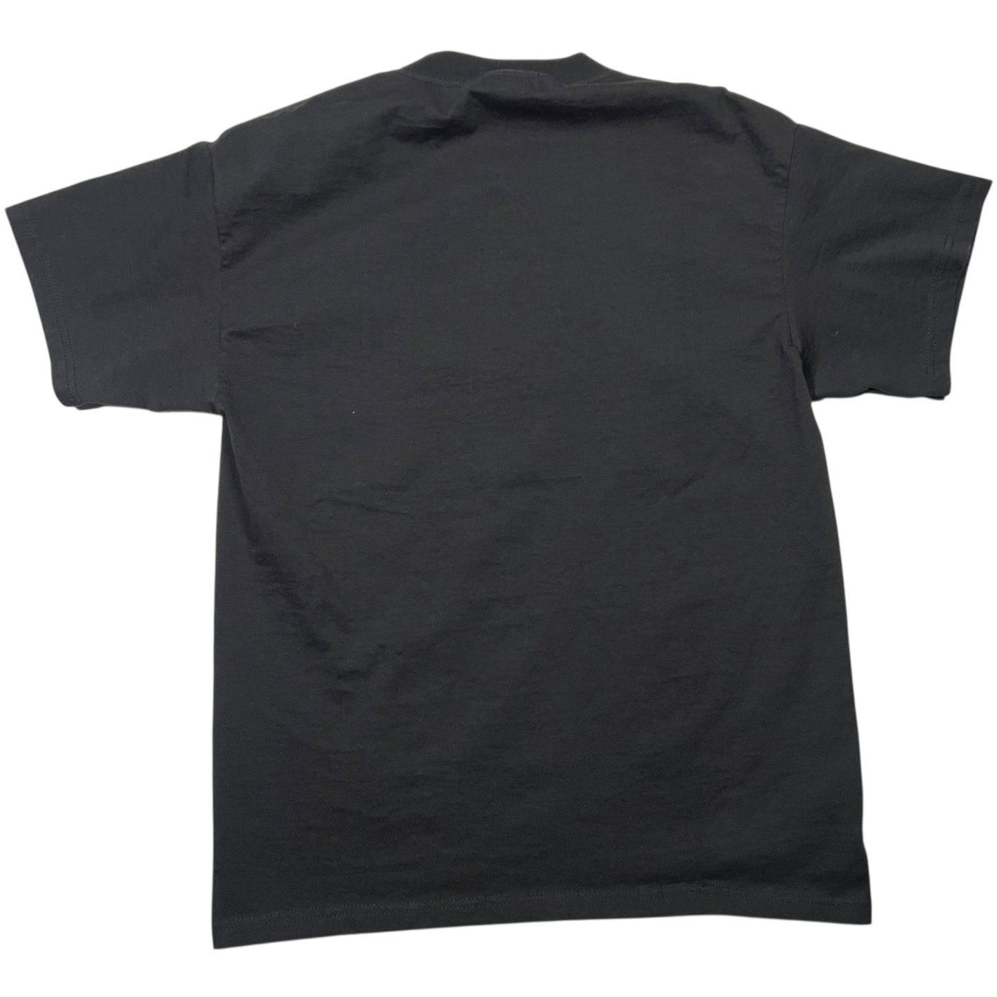 Vintage 2006 The Prodigy Their Law band tee (M)