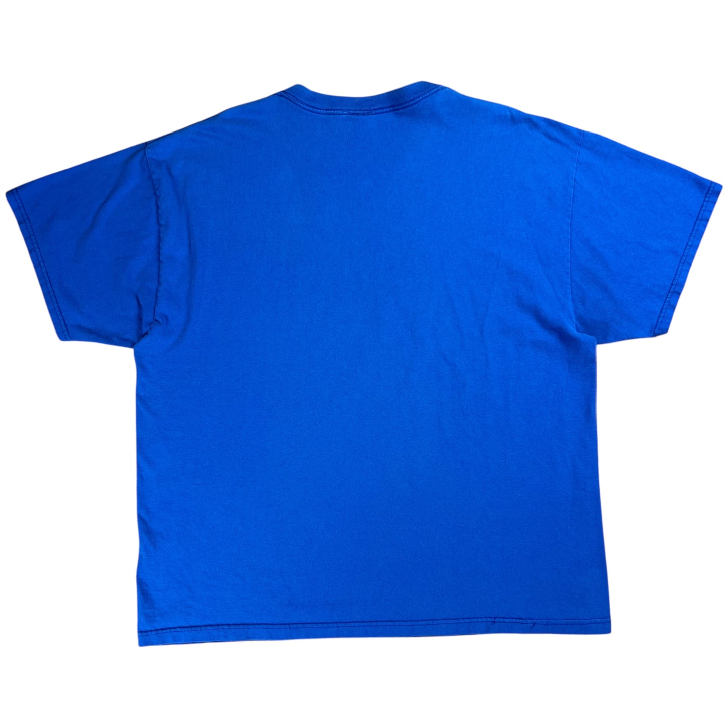 Vintage 90s University of Pittsburgh Pitt Panthers tee (XL)