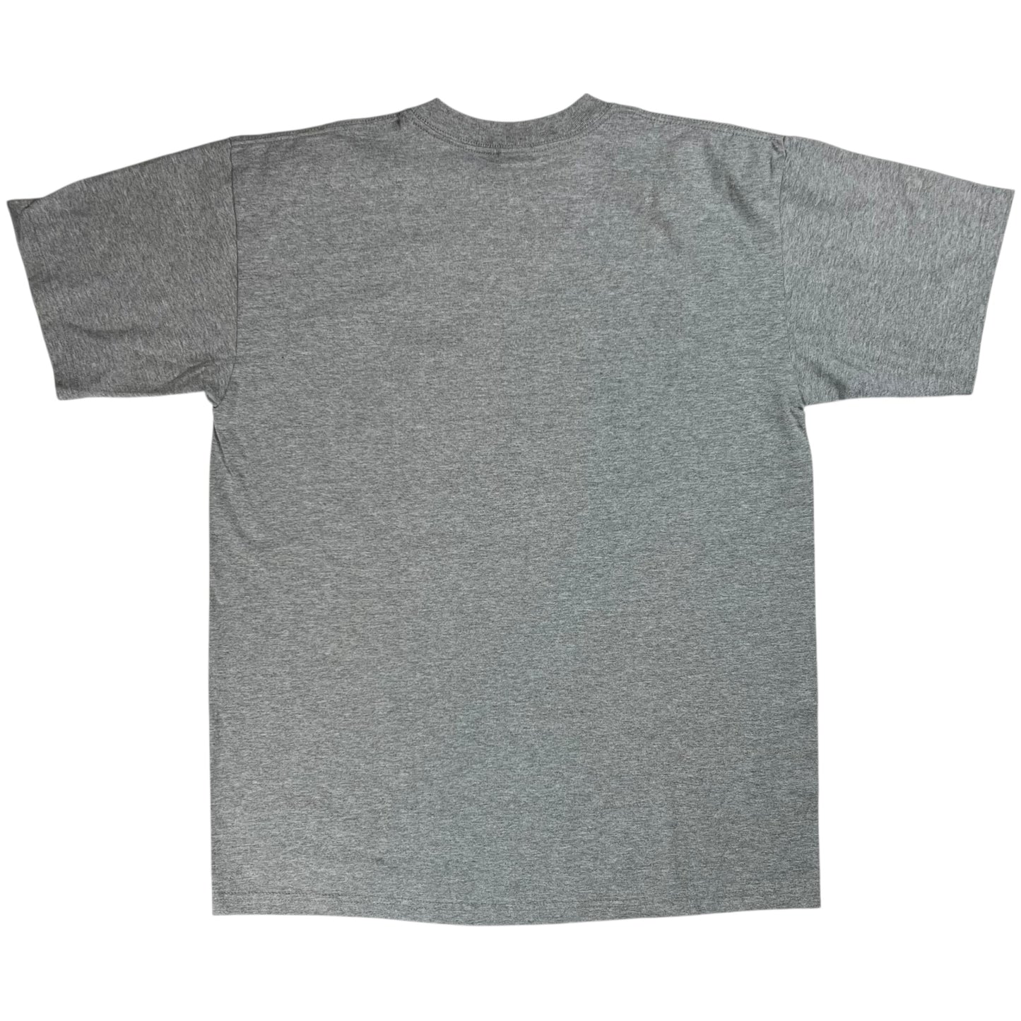 Vintage 2004 Boston Red Sox World Series Champions tee (L) DS