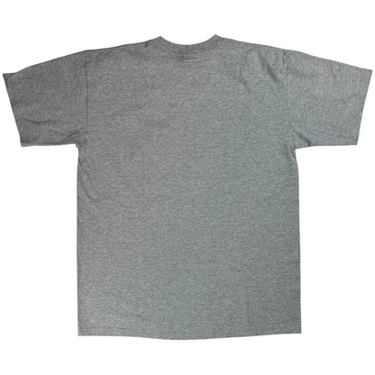 Vintage 2004 Boston Red Sox World Series Champions tee (L) DS