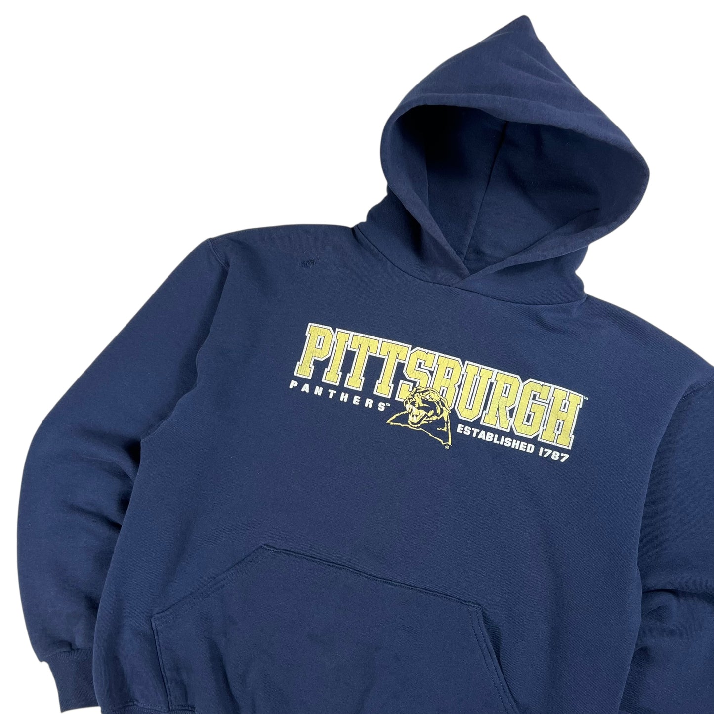 Vintage Y2K Russell Athletic Pitt Panthers University of Pittsburgh hoodie (M)