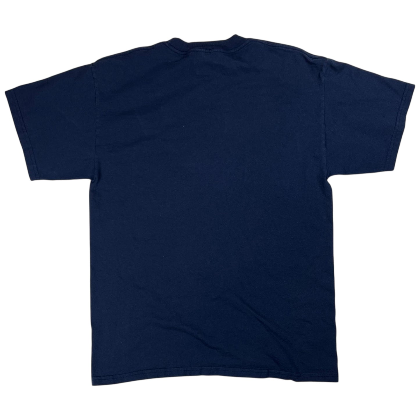 Vintage 90s UNC North Carolina Tar Heels tee (L)