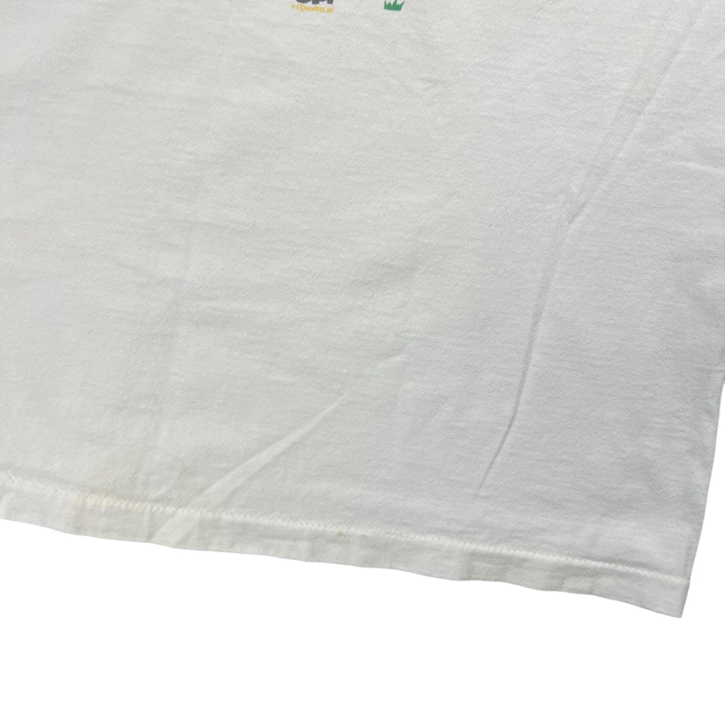 Vintage 90s Pearl Jam Mr. Point band tee (XL)