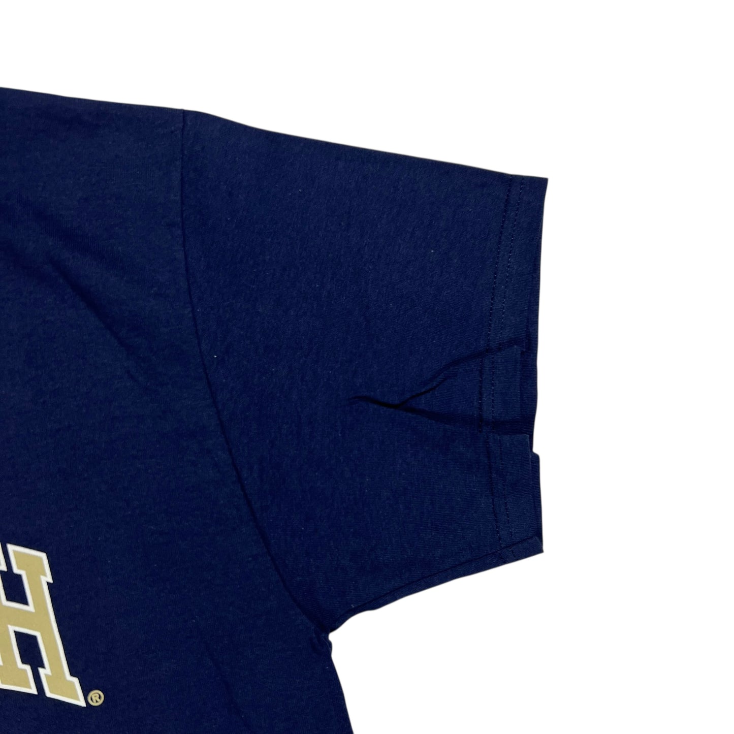 Vintage Y2K University of Pittsburgh Pitt Panthers tee (L) DS NWT