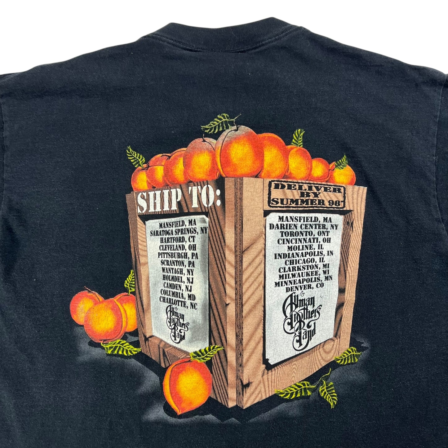 Vintage 1998 Allman Brothers Band Summer tour band tee (XL)