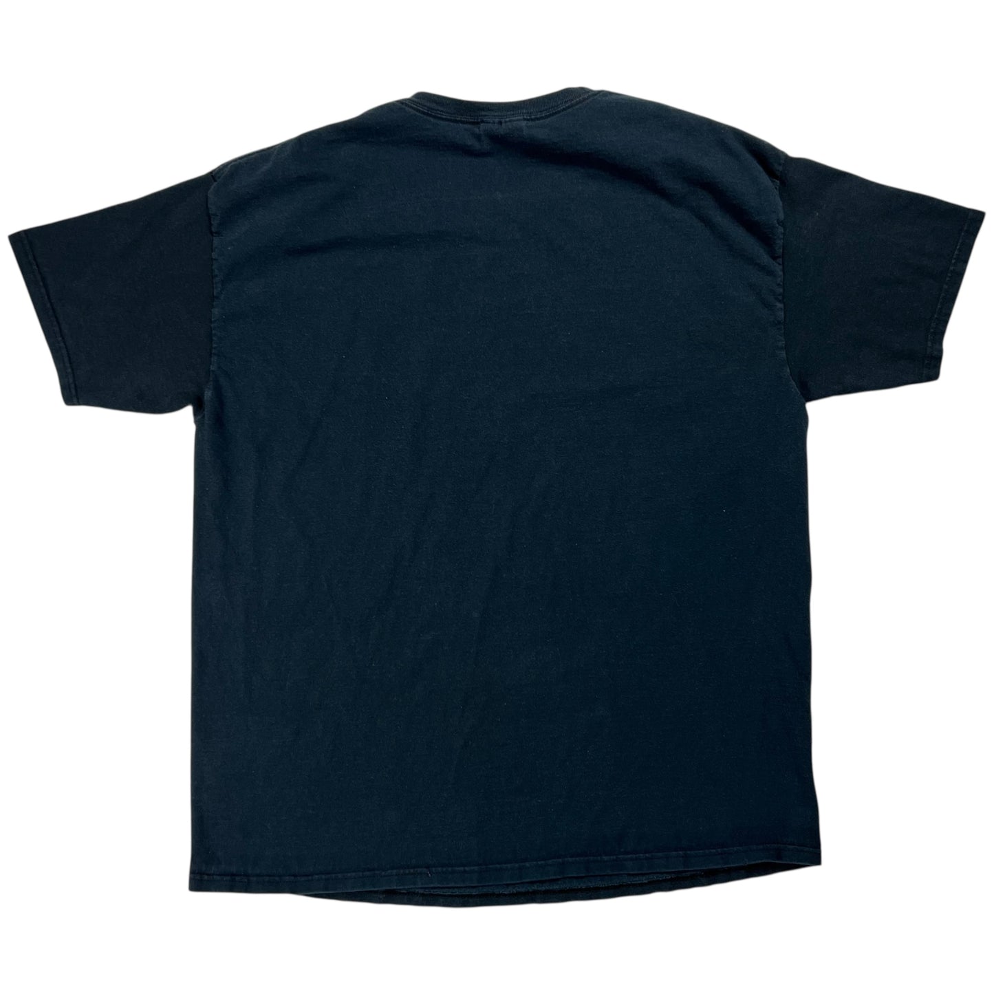Vintage Y2K Hanes “got beer?” faded tee (XL)