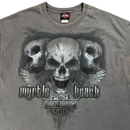 2017 Harley Davidson skulls faded biker tee (XXL)