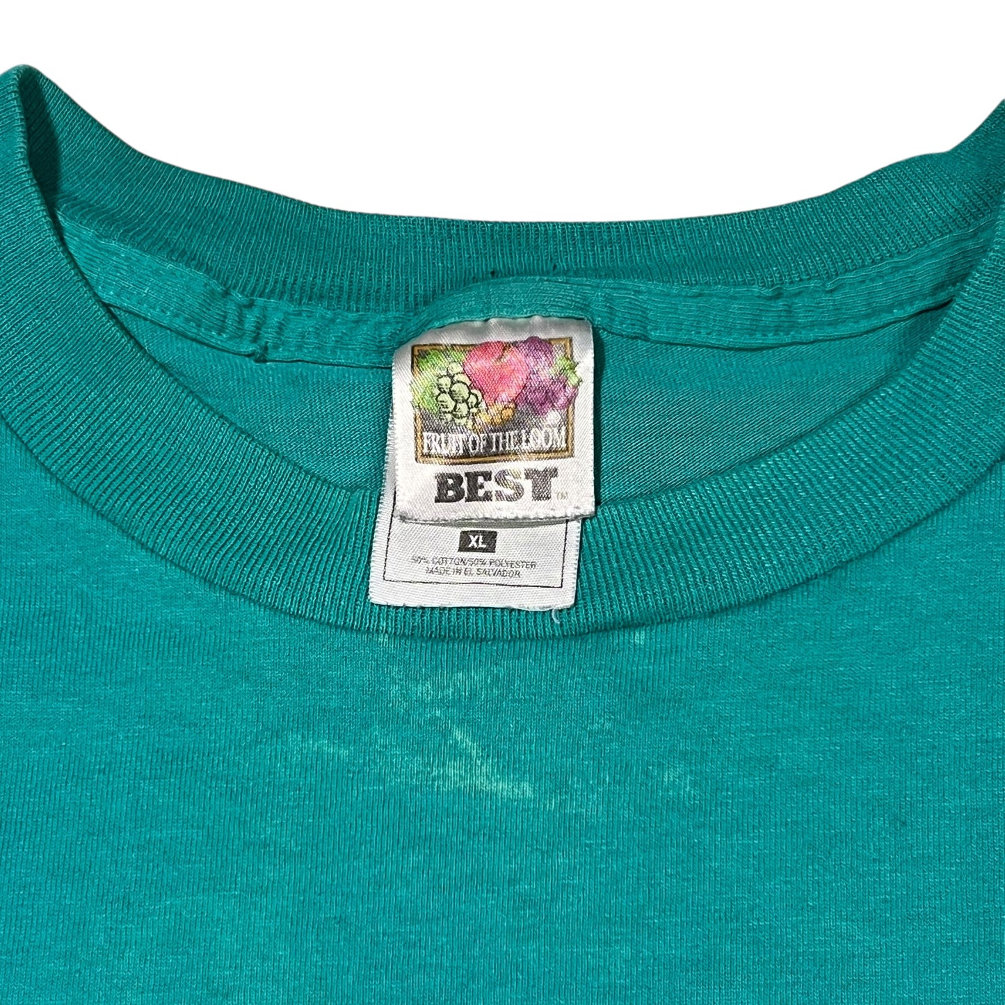 Vintage 90s International Skateboard Championships PT Gear faded skate tee (L/XL)