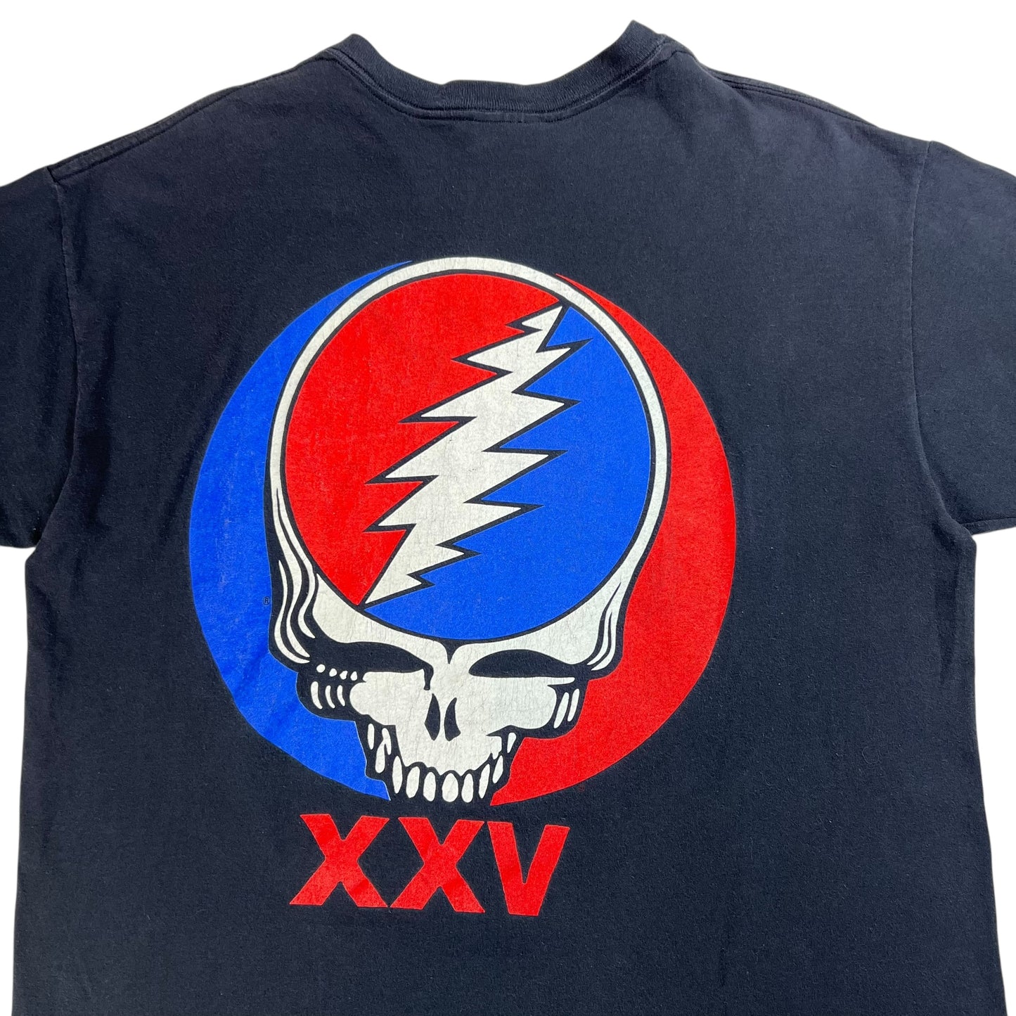 Vintage 1990 Brockum Grateful Dead American Beauty band tee (L)