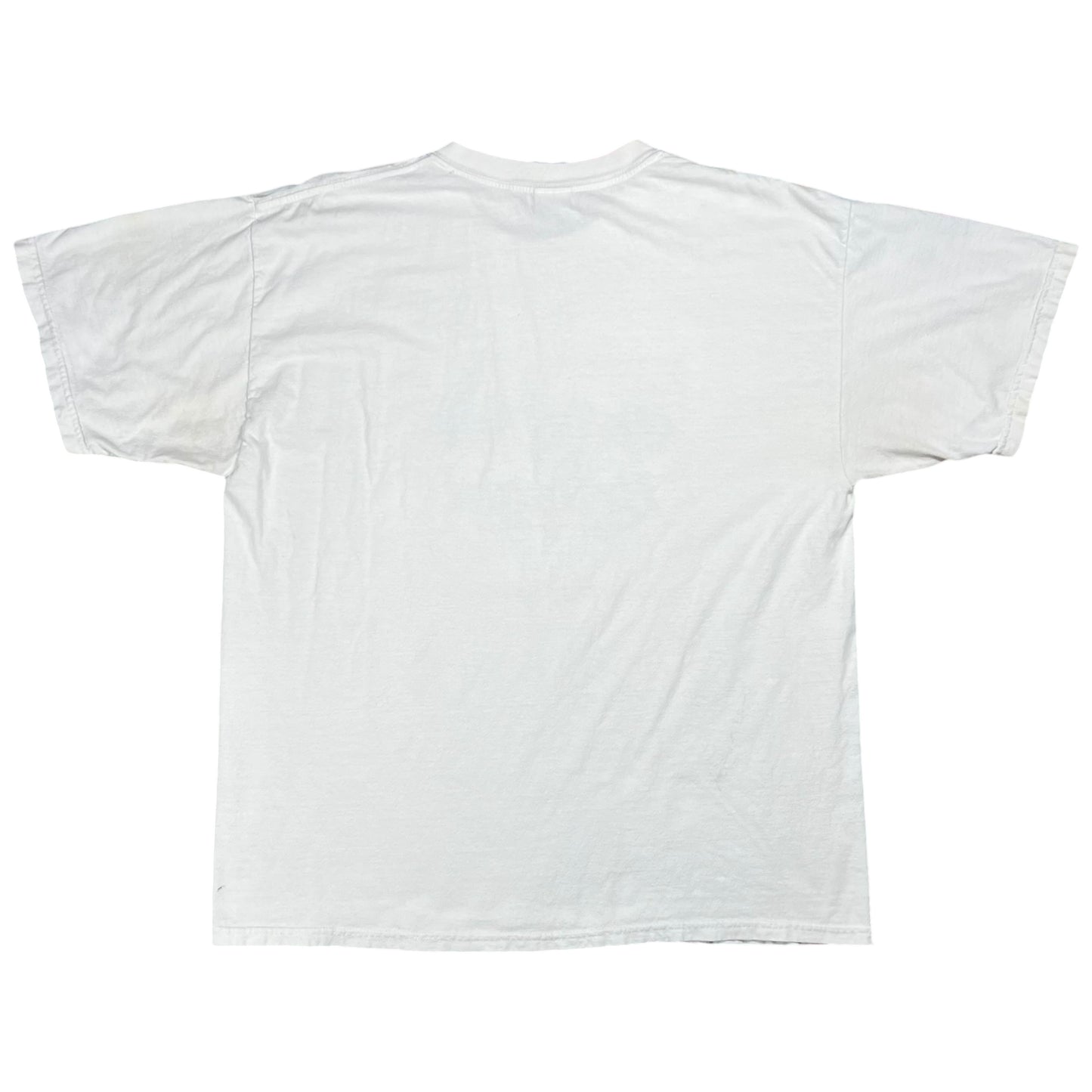 Vintage Y2K Teddy Bruschi New England Patriots Beer tee (XL)