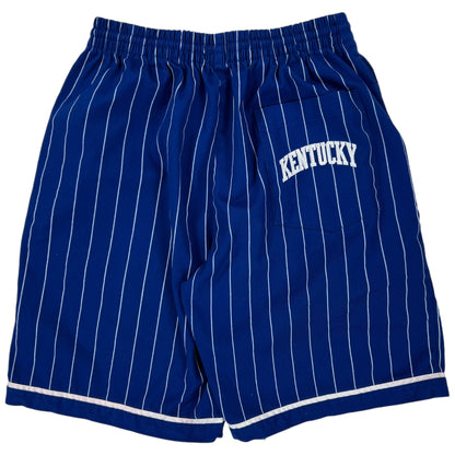 Vintage 90s Starter University of Kentucky Wildcats pinstriped shorts (M)