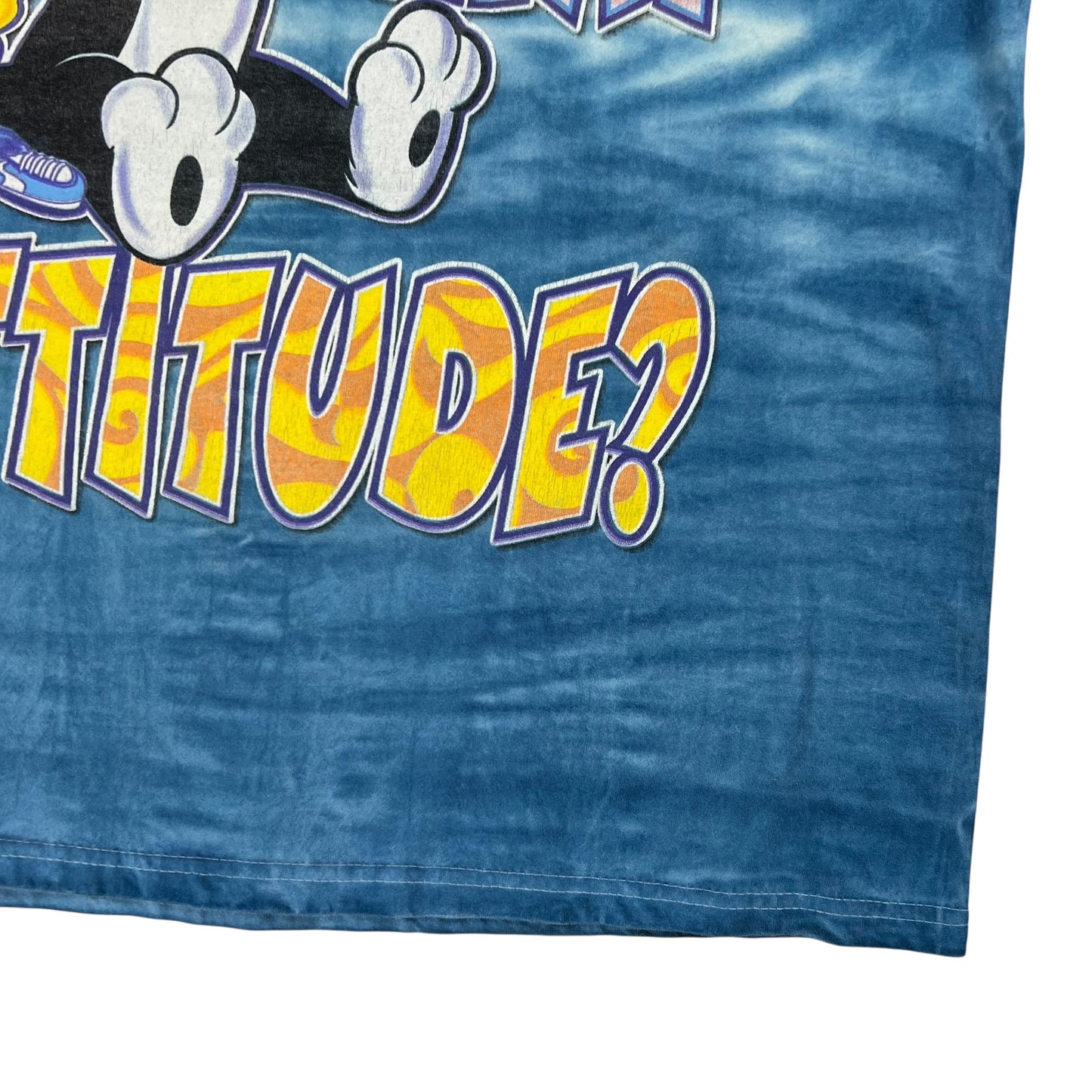 Vintage 90s Looney Tunes Sylvester Tweety Bird tie dye tee (L)