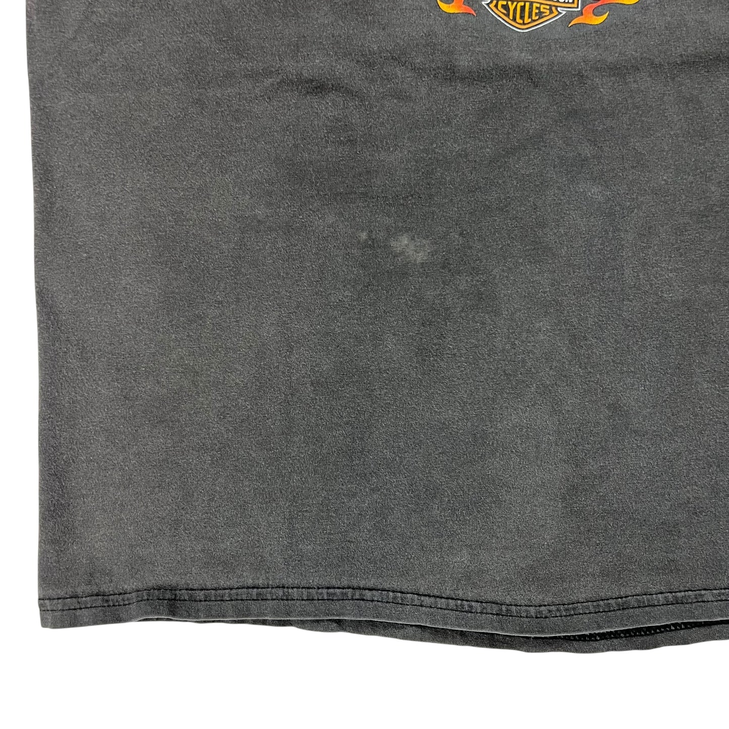 Vintage 90s Harley Davidson Hell On Wheels faded tee (L)