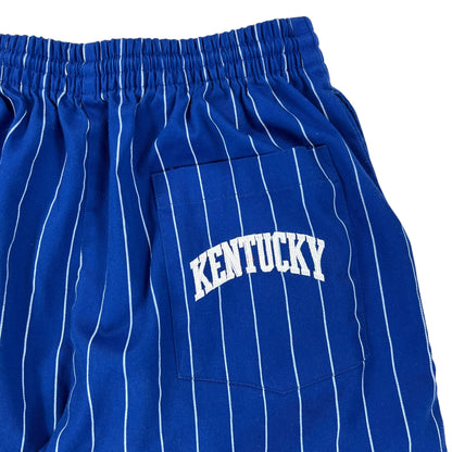 Vintage 90s Starter University of Kentucky Wildcats pinstriped shorts (M)