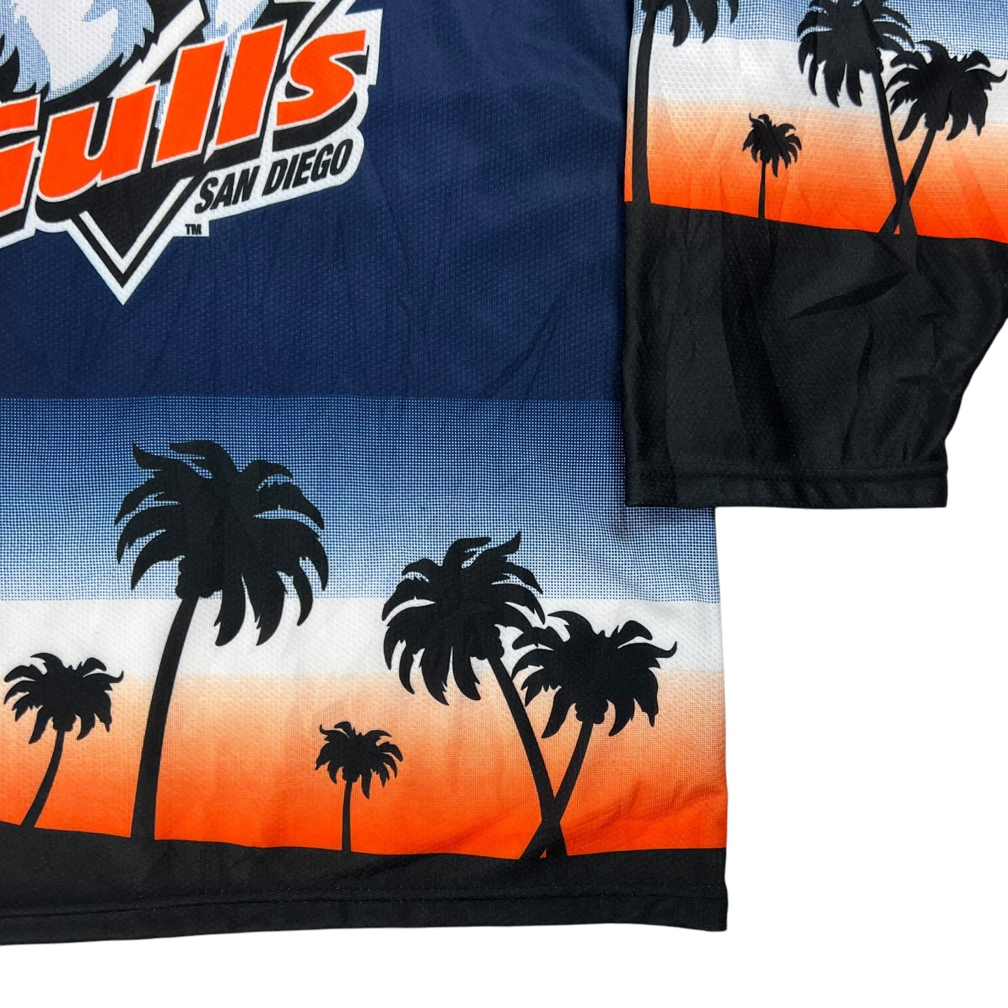 Vintage 2003 San Diego Gulls AHL all over print hockey jersey (L) DS NWT