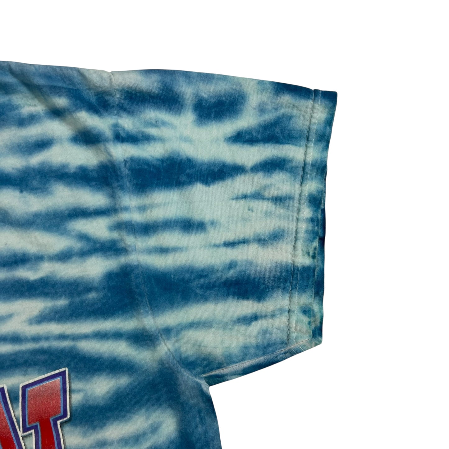Vintage 90s Looney Tunes Sylvester Tweety Bird tie dye tee (L)
