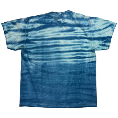 Vintage 90s Looney Tunes Sylvester Tweety Bird tie dye tee (L)