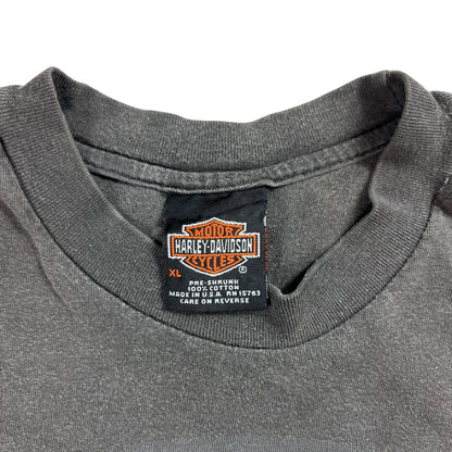 Vintage 90s Harley Davidson Hell On Wheels faded tee (L)