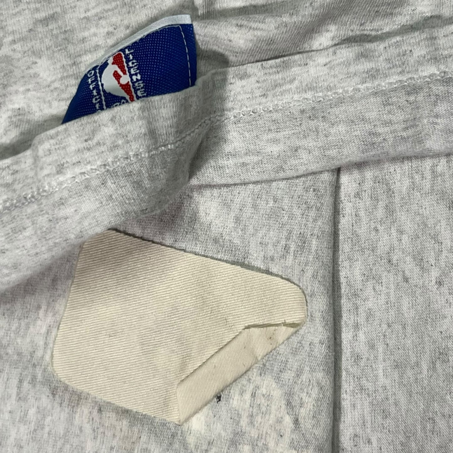 Vintage 90s Nutmeg Mills Charlotte Hornets mascot tee (M)