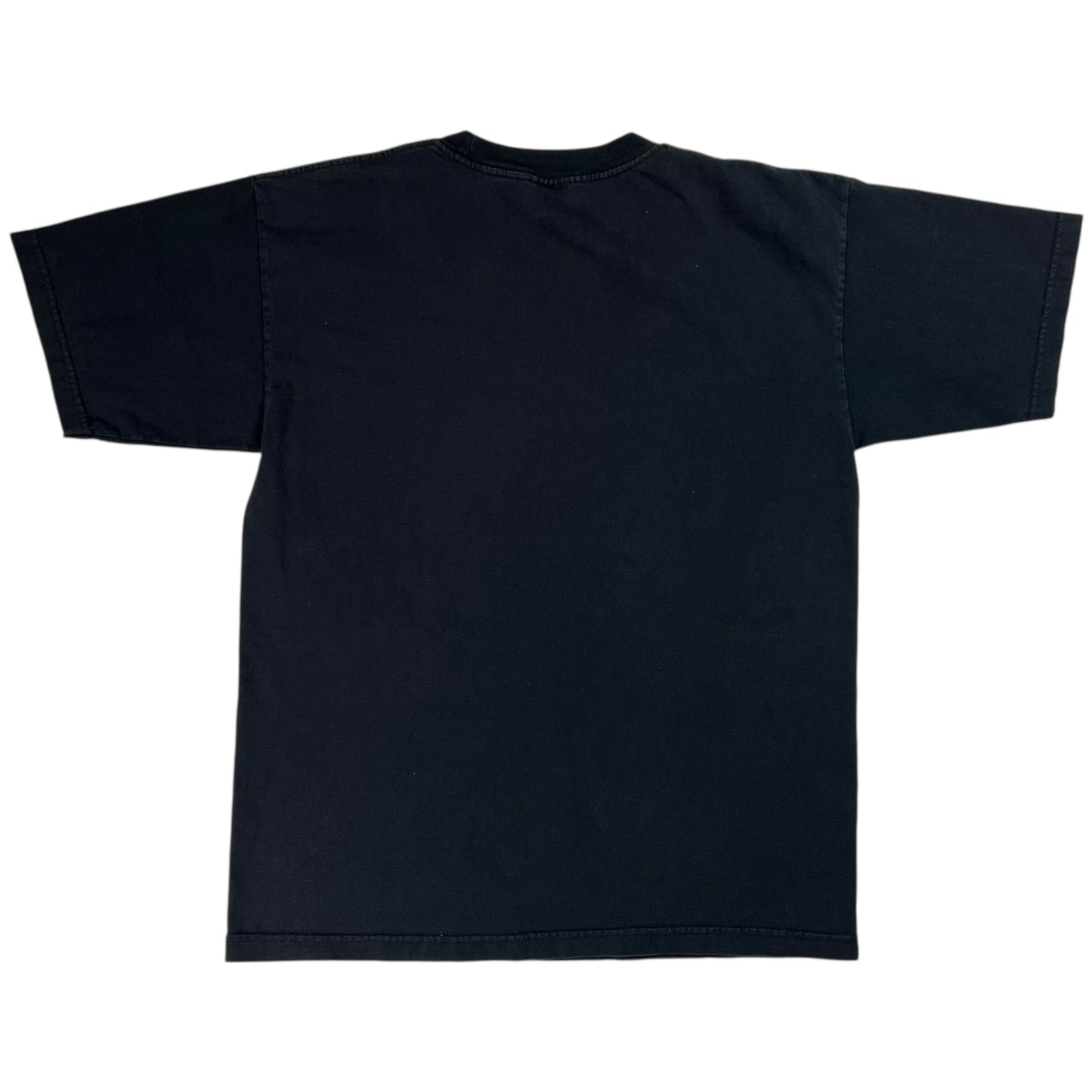 Vintage 90s WJPA 95.3 FM Radio station tee (L)