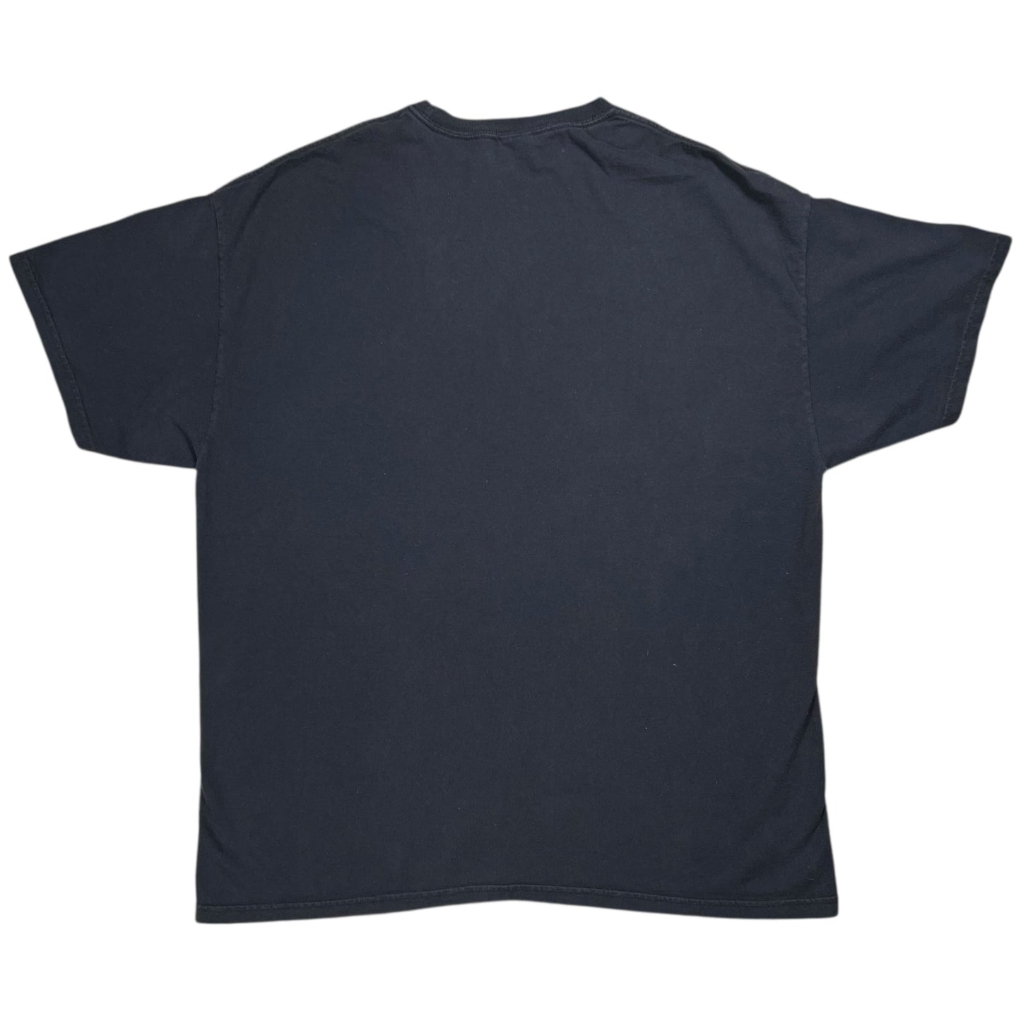 Vintage Y2K Hanes Guns N’ Roses Appetite for Destruction band tee (L)