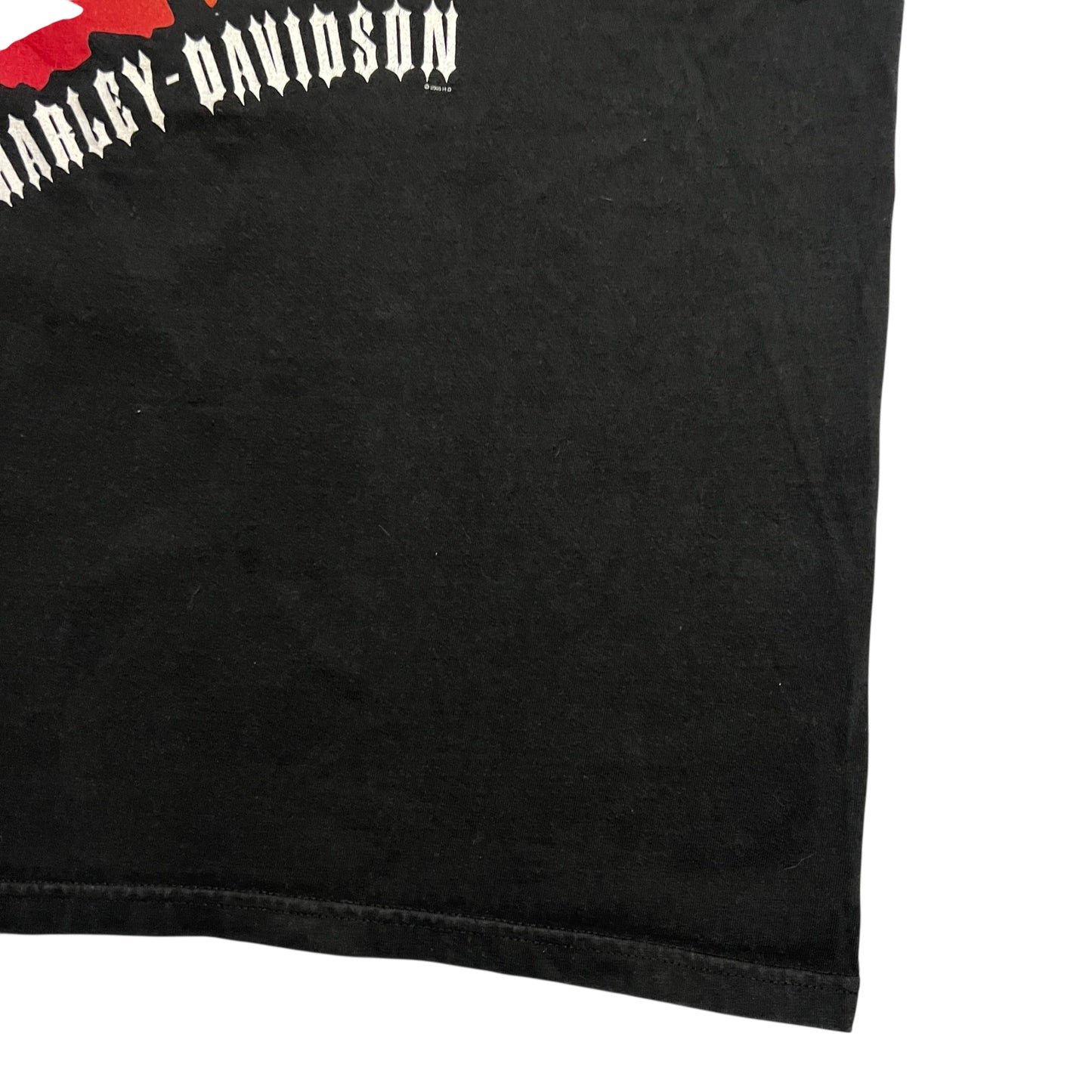 Vintage 2005 Harley Davidson Flame Eagle biker tee (L)