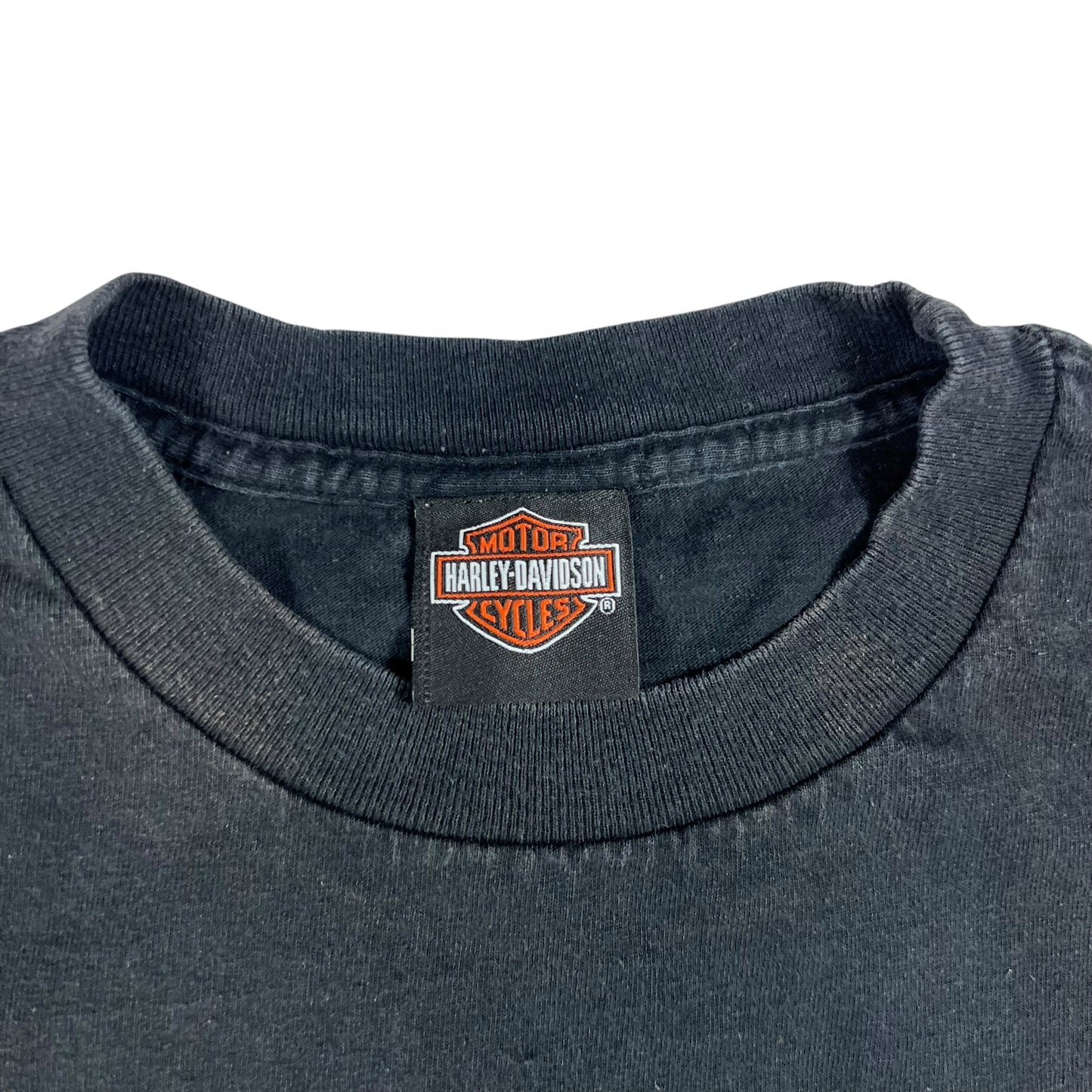 Vintage Y2K Harley Davidson Pinup Girl Honduras faded tee (M)