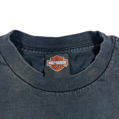 Vintage Y2K Harley Davidson Pinup Girl Honduras faded tee (M)