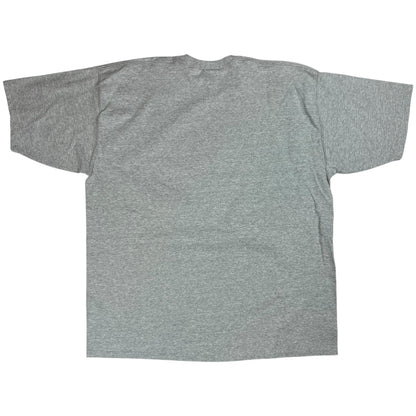 Vintage 90s Pro Player Pitt Panthers University of Pittsburgh tee (XXL)