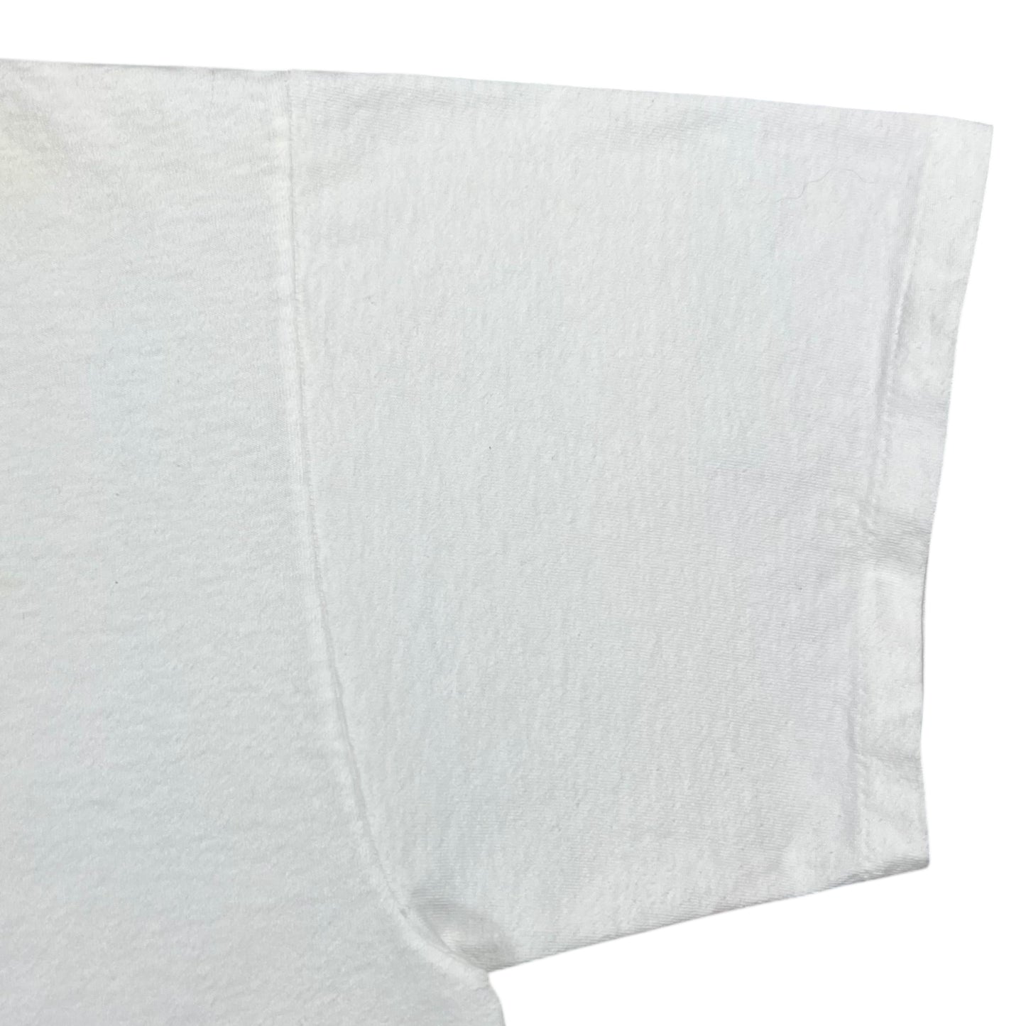 Vintage 1999 Polygram Shania Twain band tee (XL)