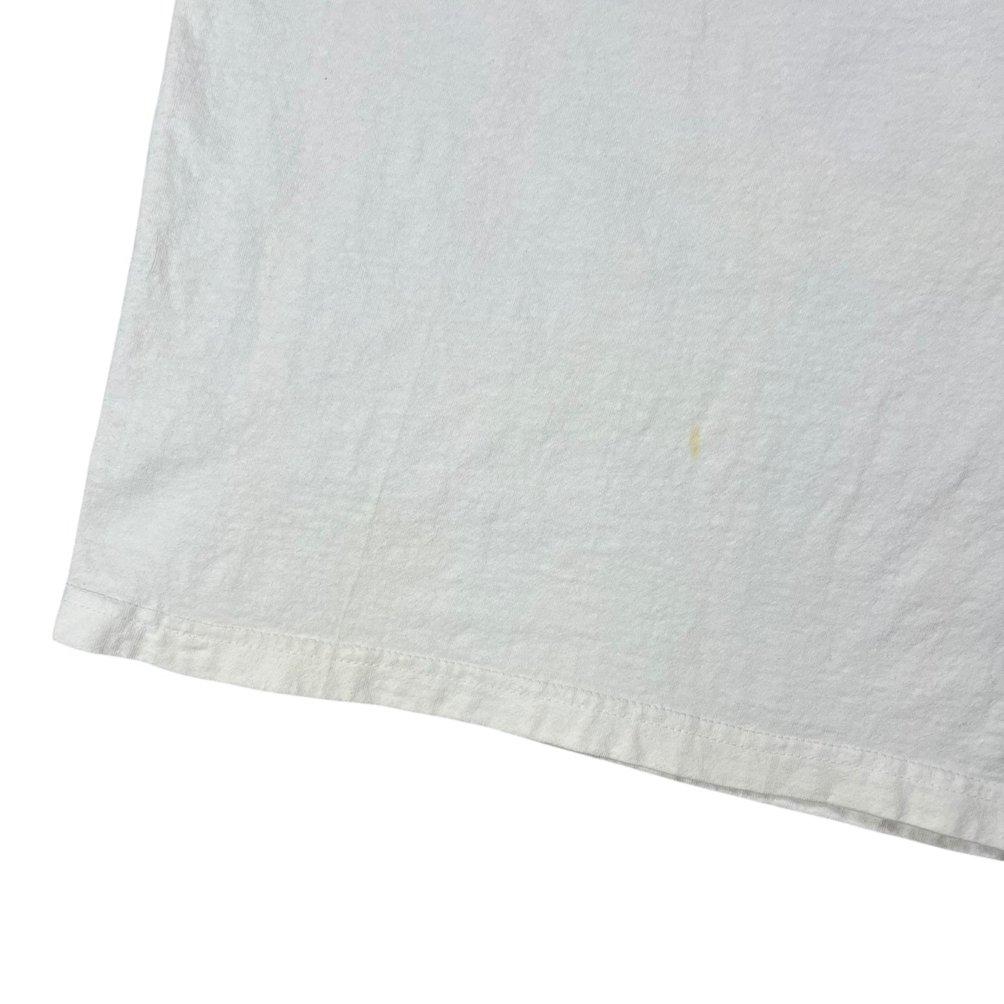 Vintage 1999 Polygram Shania Twain band tee (XL)