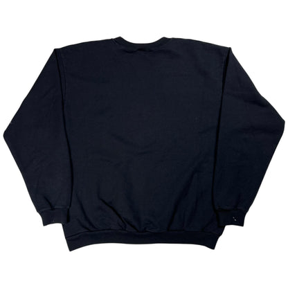 Vintage Y2K Pittsburgh Steelers NFL distressed crewneck (M/L)