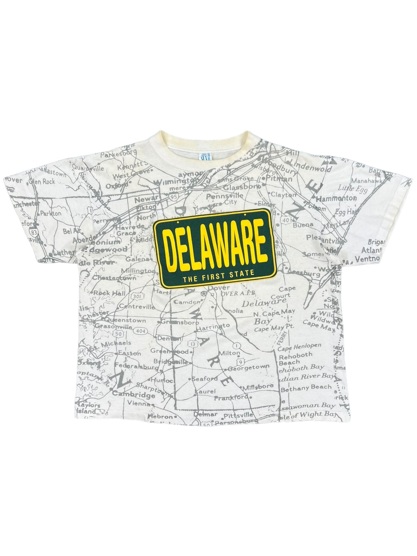 Vintage 90s Delaware map all over print tee (L)