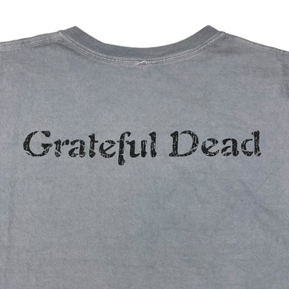 Vintage Y2K Grateful Dead Steal Your Face band tee (XXL)