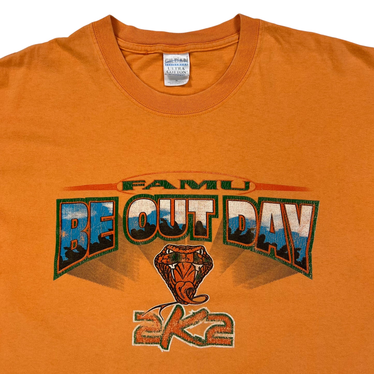 Vintage 2002 FAMU Be Out Day HBCU tee (XL)