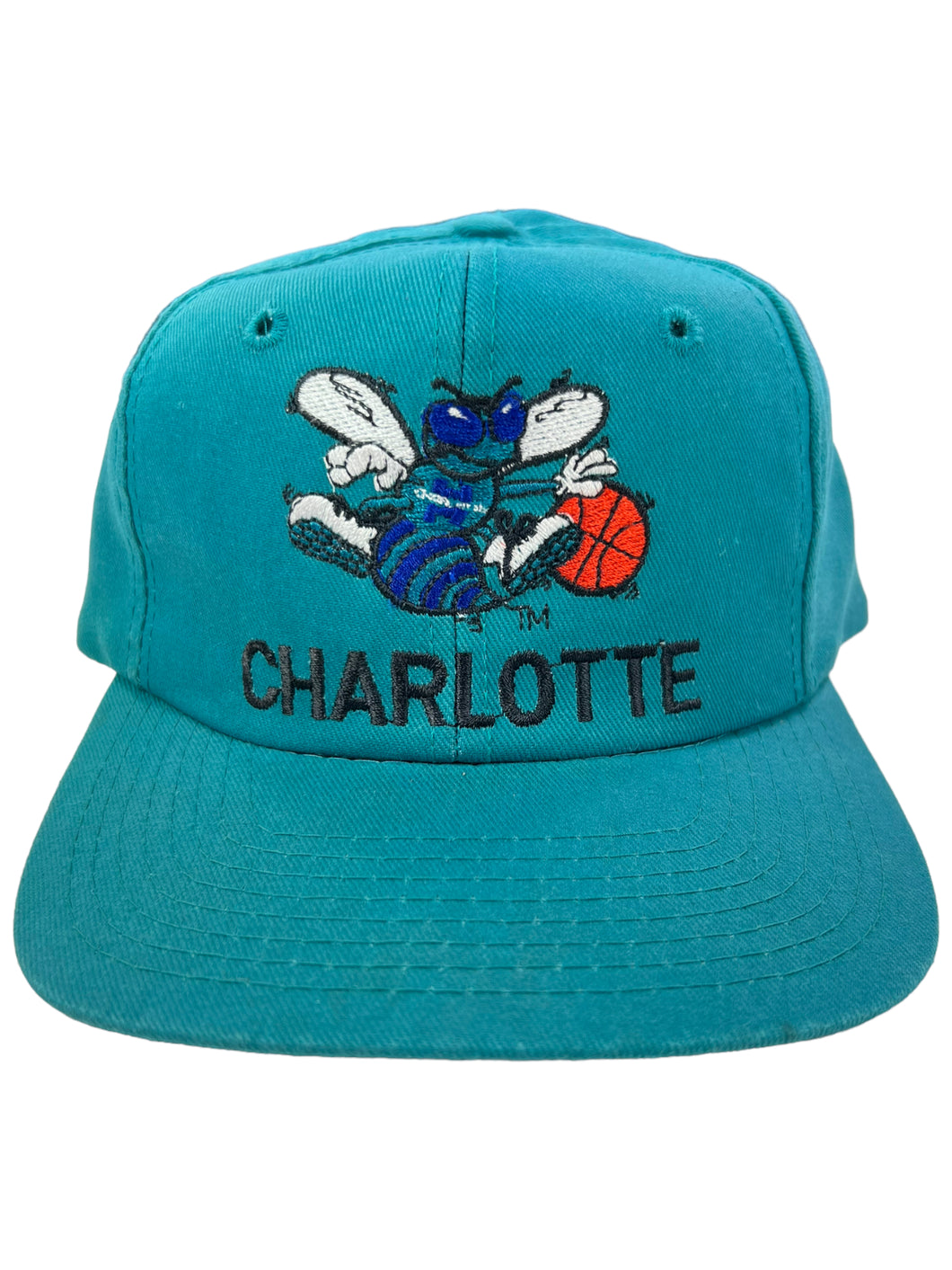 Vintage 90s Twins Ent. Charlotte Hornets NBA plain logo SnapBack