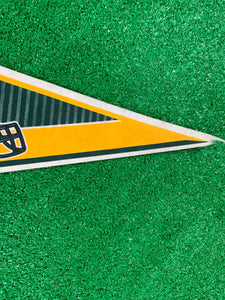 Vintage 90s Green Bay Packers NFL Pennant