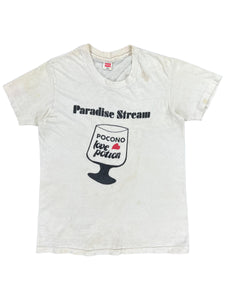 Vintage 60s Hanes Paradise Stream Poconos Love Potion worn tee (S)