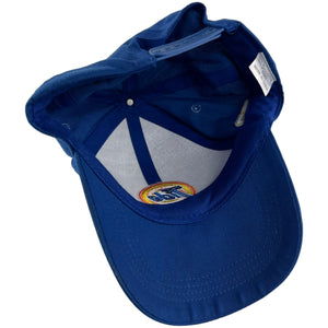 Vintage 2000s NASCAR racing Tide Downy blue promo SnapBack