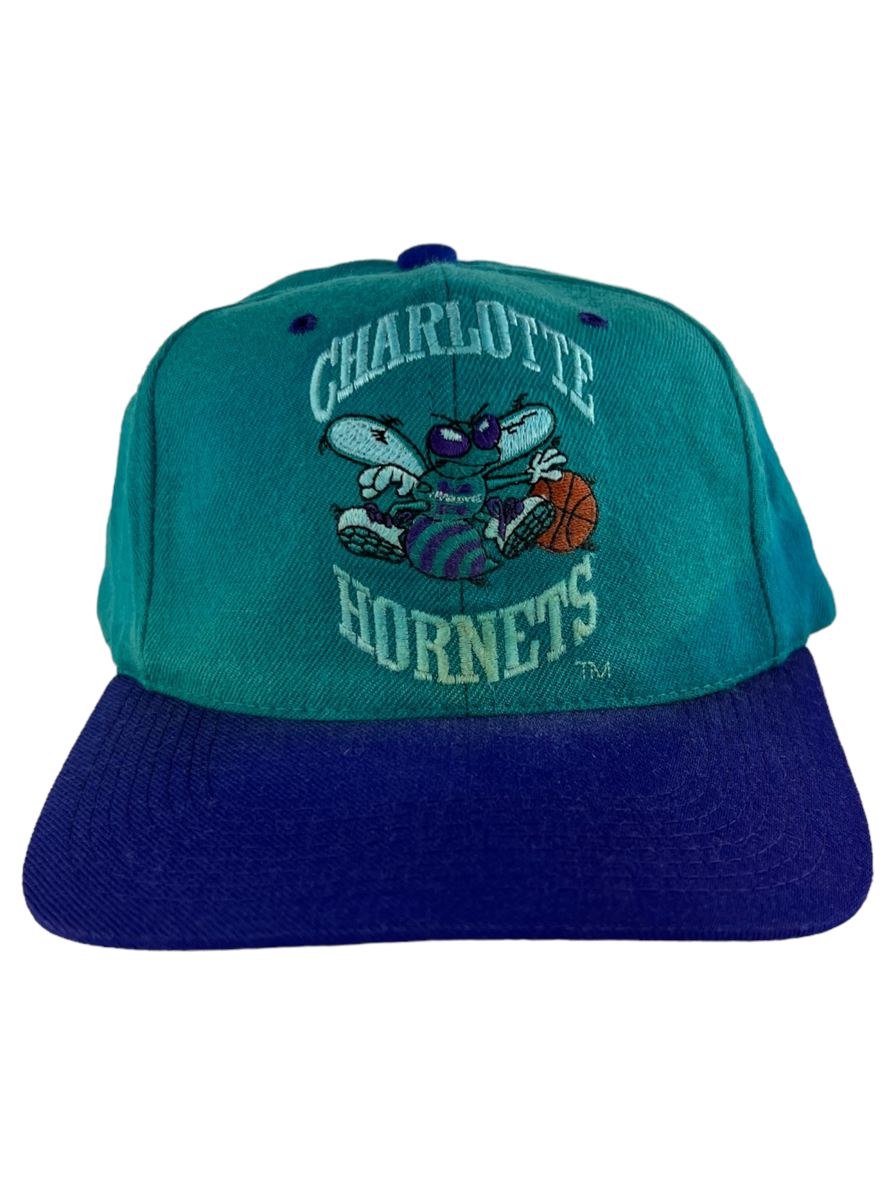 Vintage 90s Charlotte Hornets AJD wool faded two tone back spell