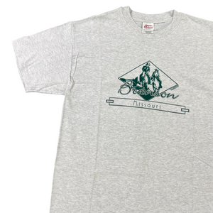 Vintage 90s Hanes Branson Missouri graphic tee (L)