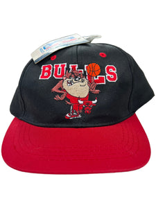Vintage 1997 Looney Tunes Taz Tasmanian Devil Chicago Bulls NBA YOUTH SnapBack DS NWT
