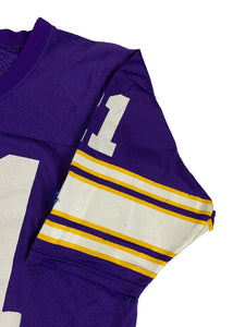 Vintage 90s Champion Minnesota Vikings Terry Allen blank NFL jersey (48/XL)
