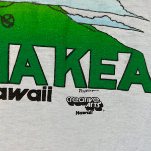 Vintage 80s Hanes Ski Muana Kea Hawaii faded pocket tee (M)